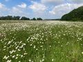 Vorschaubild der Version vom 22. Juli 2025, 10:50 Uhr